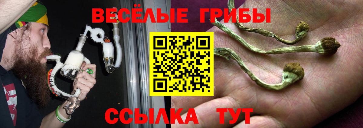 Псилоцибиновые грибы мицелий  Псилоцибиновые грибы Psilocybine cubensis  Вход с VPN  Луховицы 